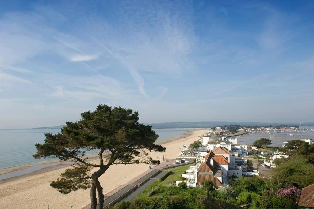 Bournecoast: Lovely Annex With Patio Nr Beach-5286 Bournemouth Exterior foto